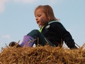 dscf1295.jpg