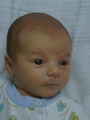 merrit_20w2_04.jpg