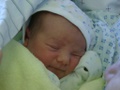 merrit_w1_01.jpg